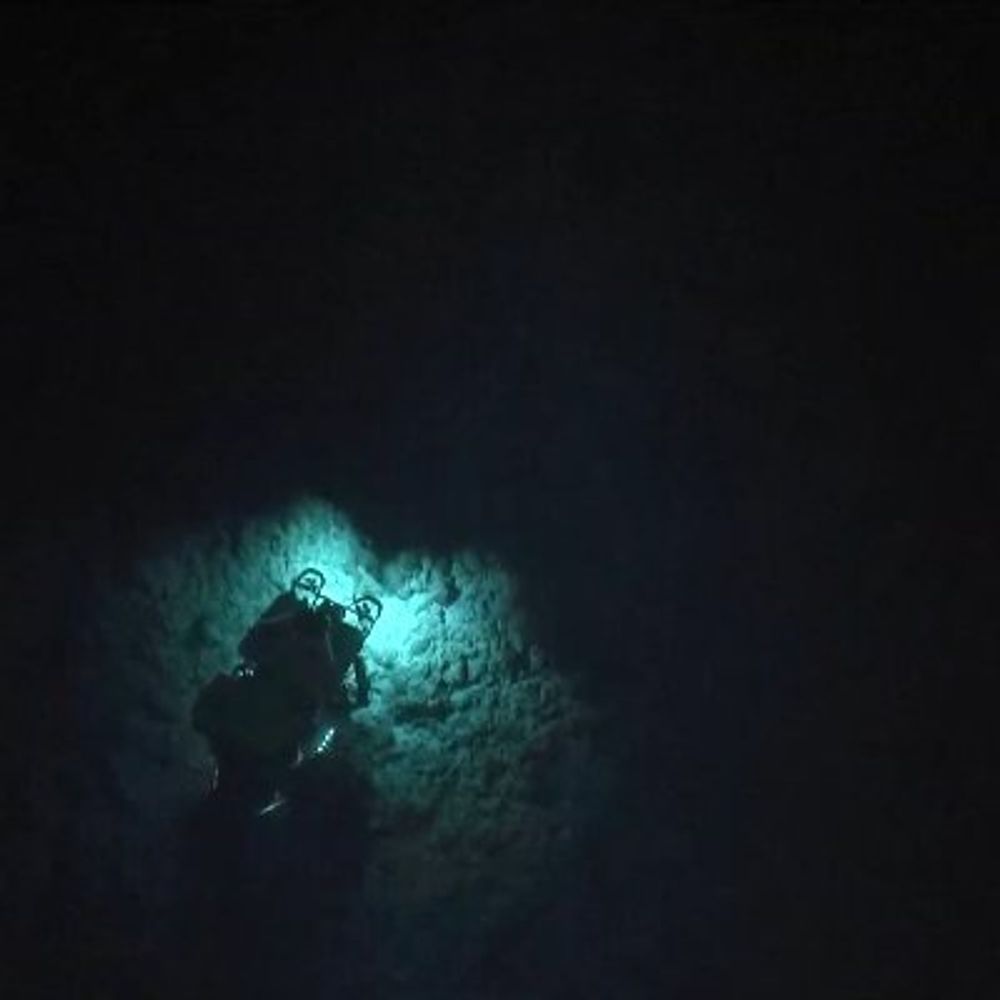 abyssopelagic