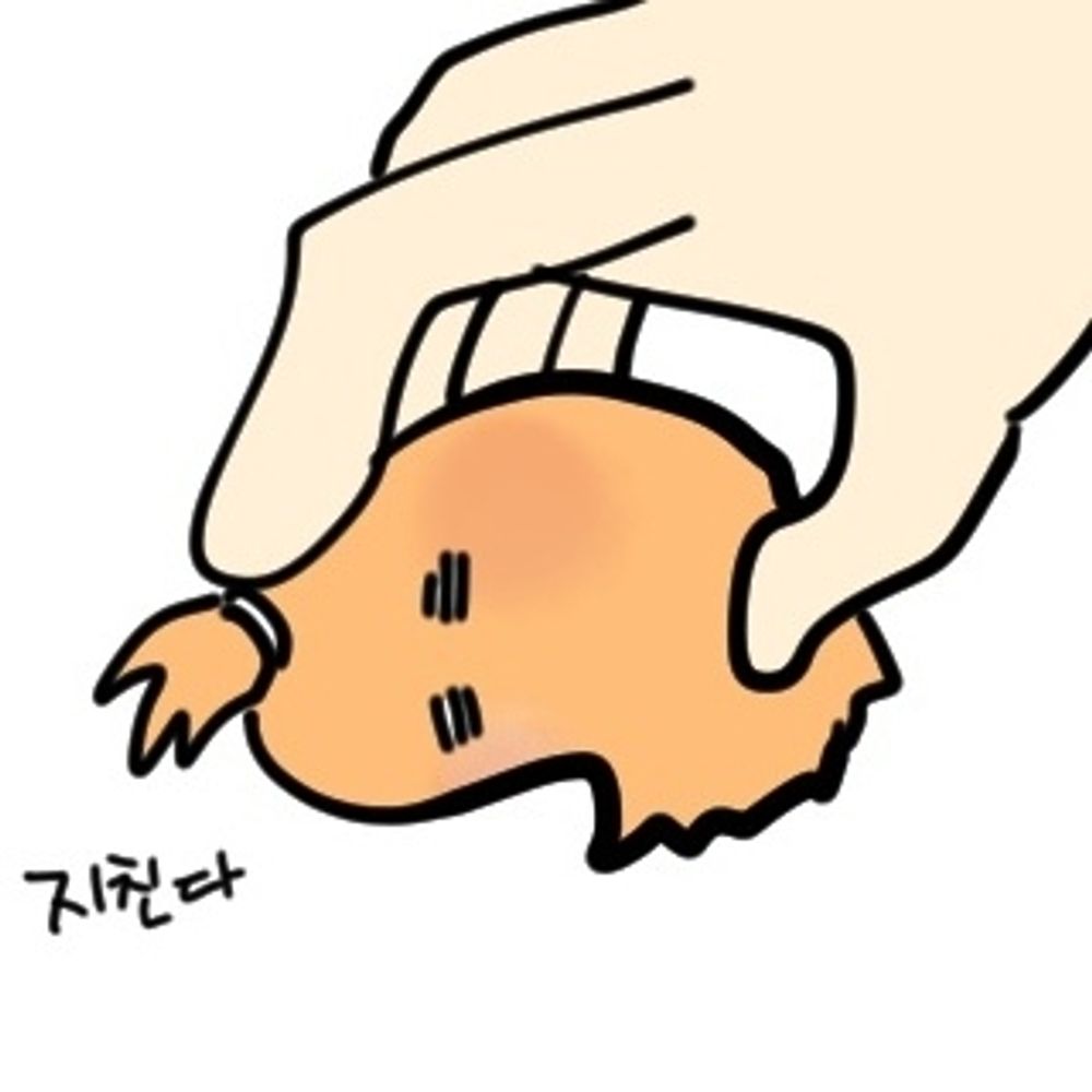 일죽사 바리