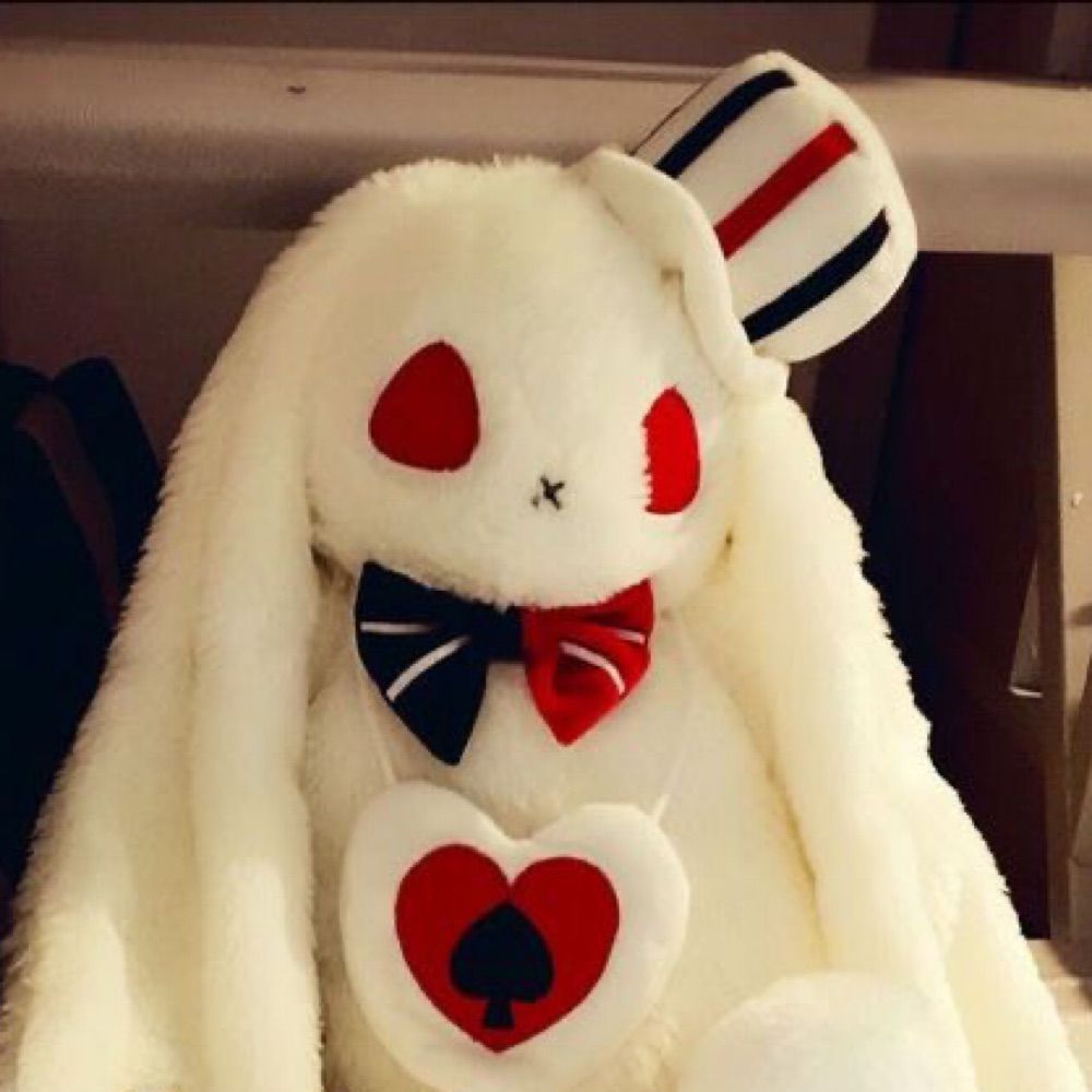 🐇 Nova/Jay 🎩