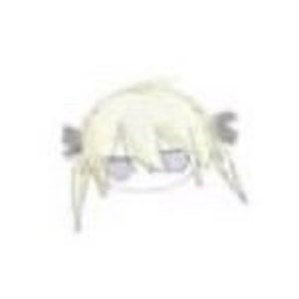 はつ寡