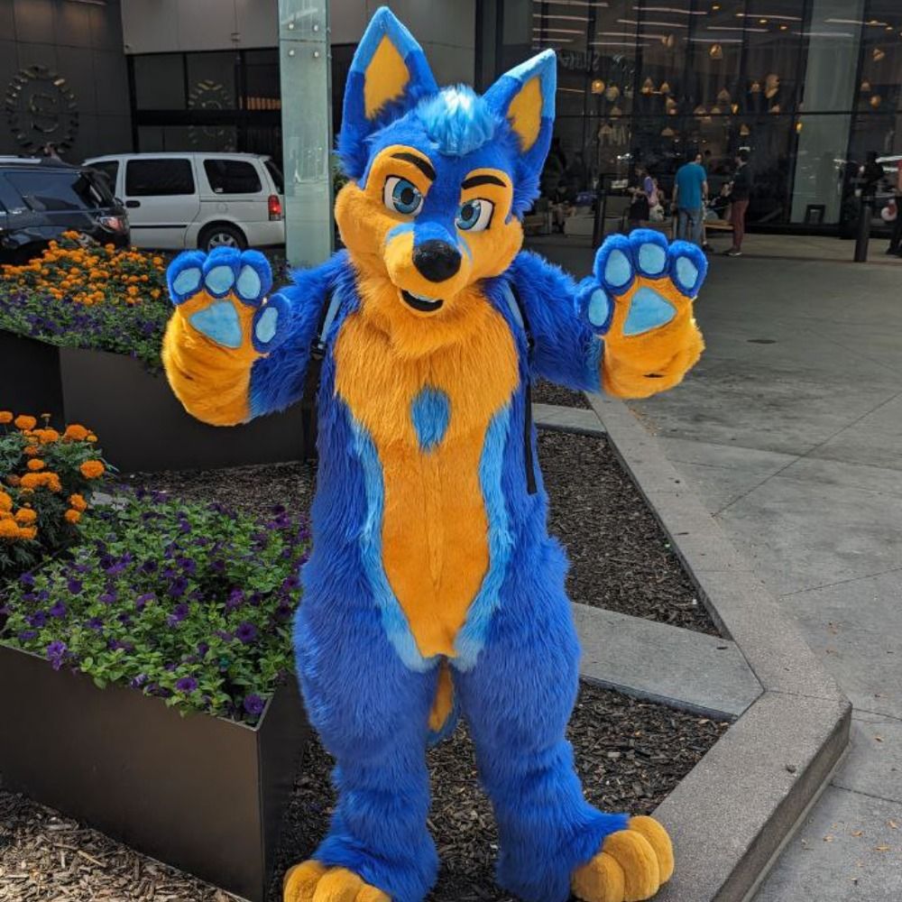 Hachi-fox