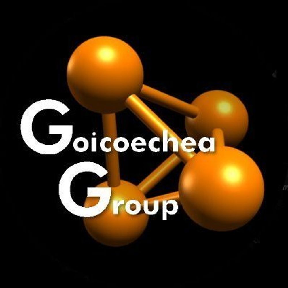 GoicoecheaGroup