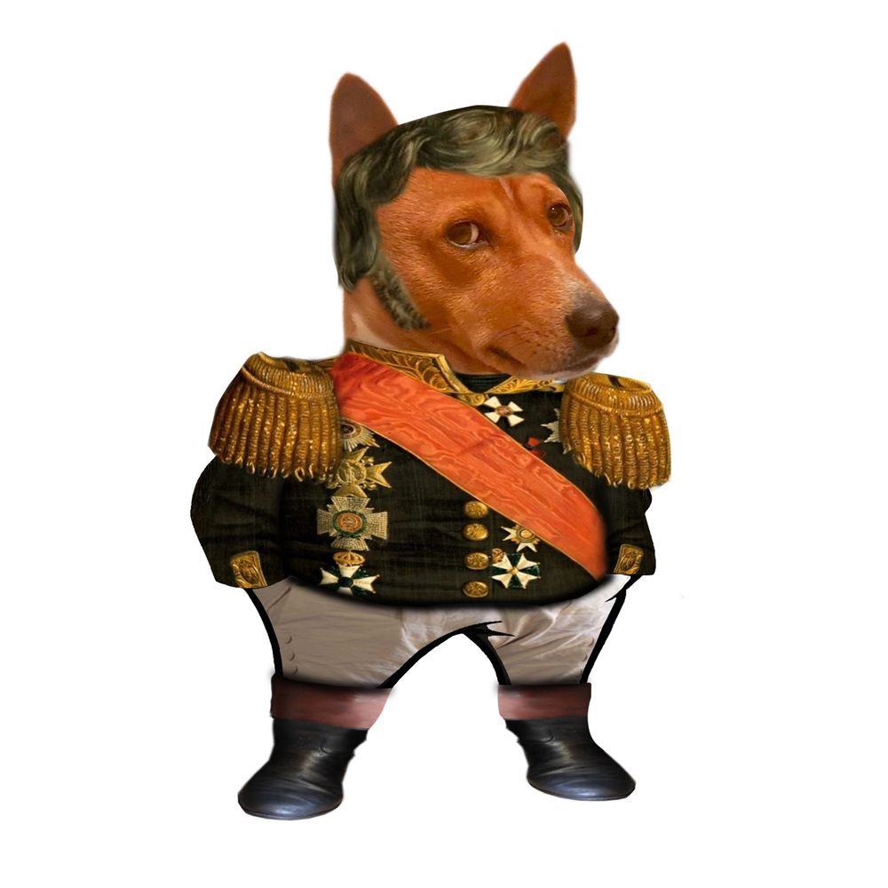 Fella Berend Botje 🇳🇱 ❤️ 🇺🇦