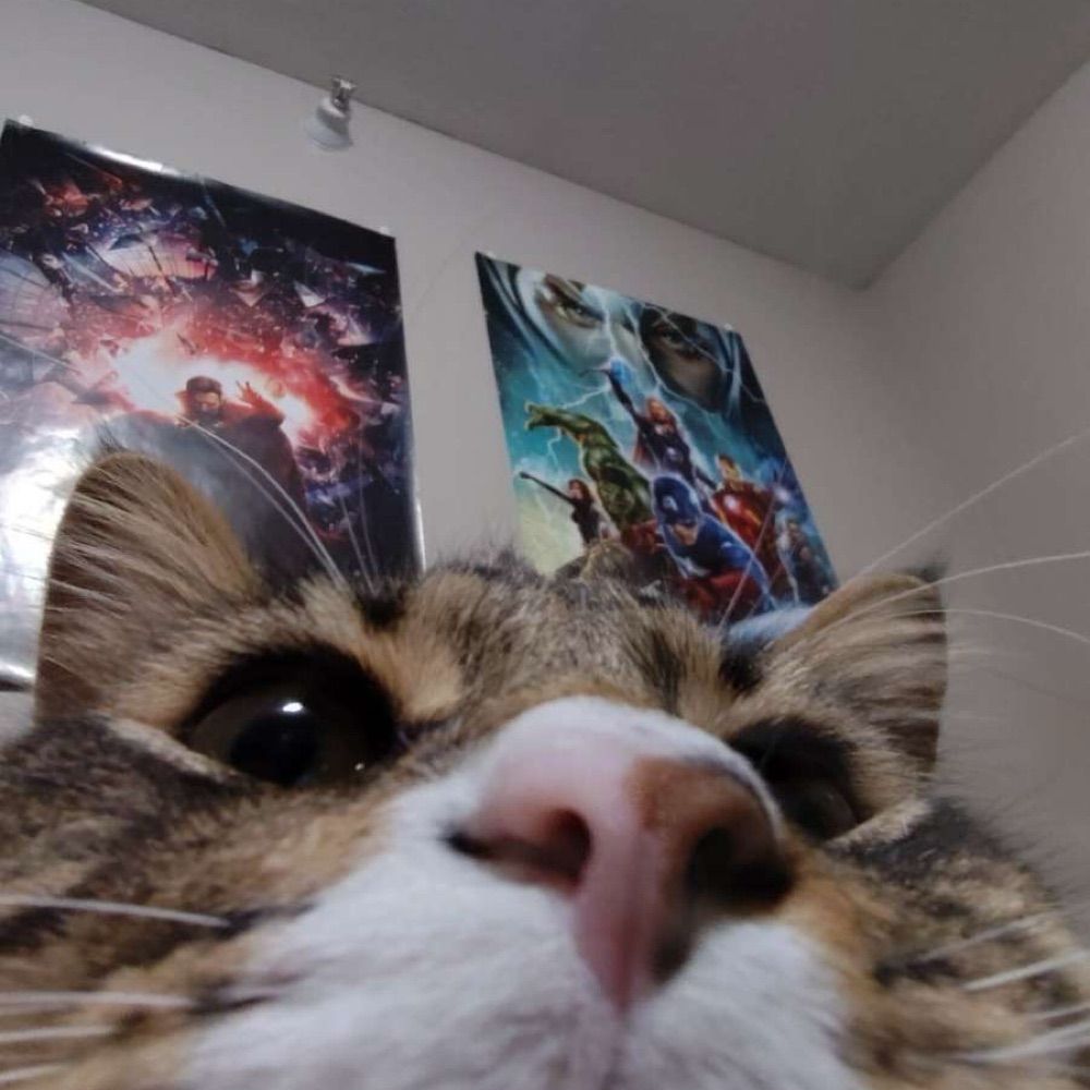 User avatar