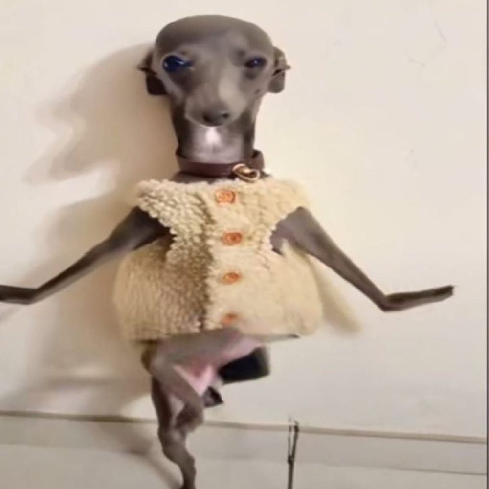 밤생이