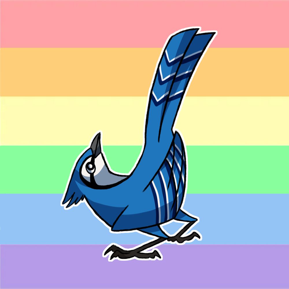 Studio Blue Jay
