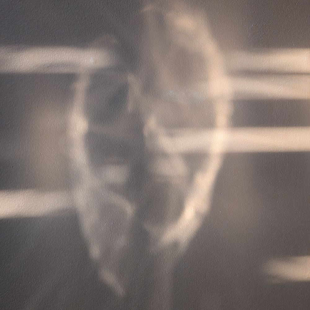 Techno Bodhi