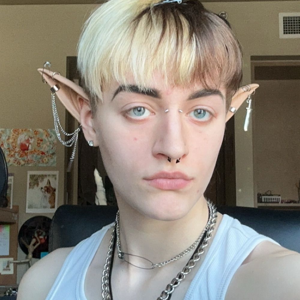 The Rochester Fairyboy🧚⭐️🌈