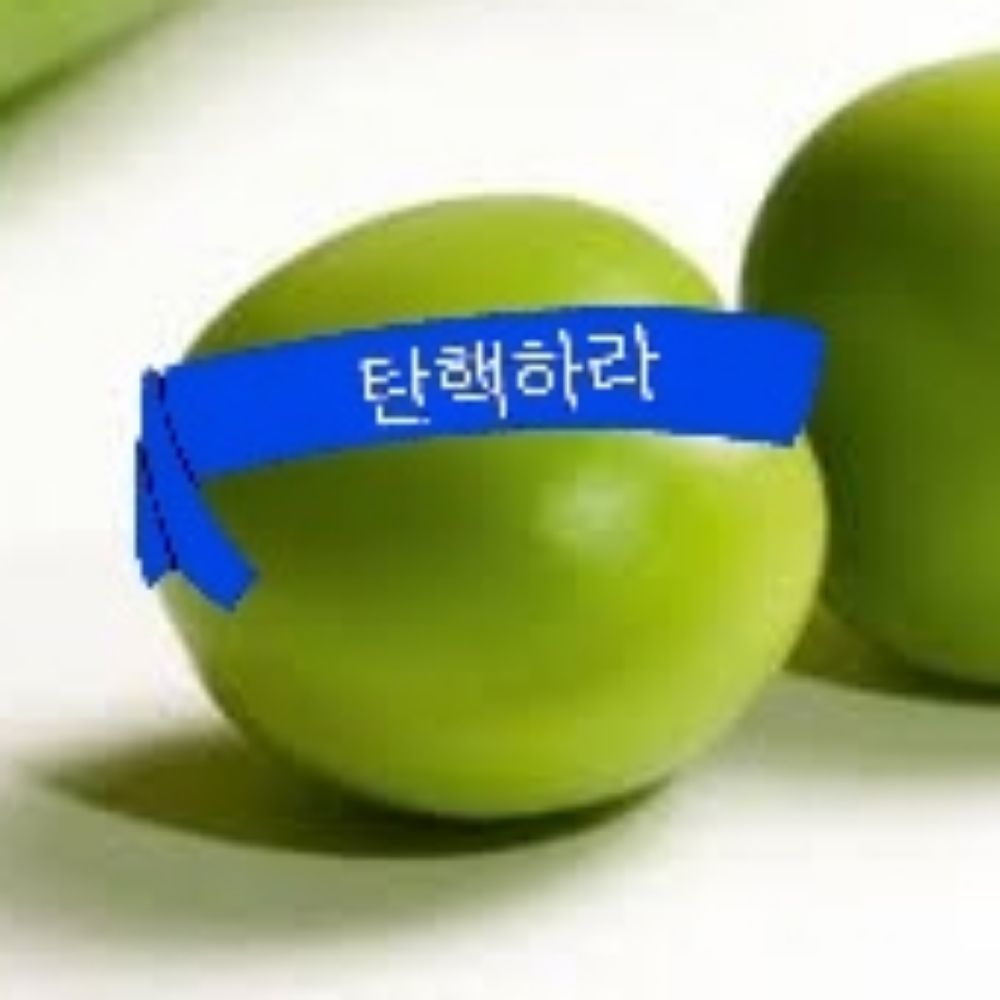 파릇파릇 김완두🫛