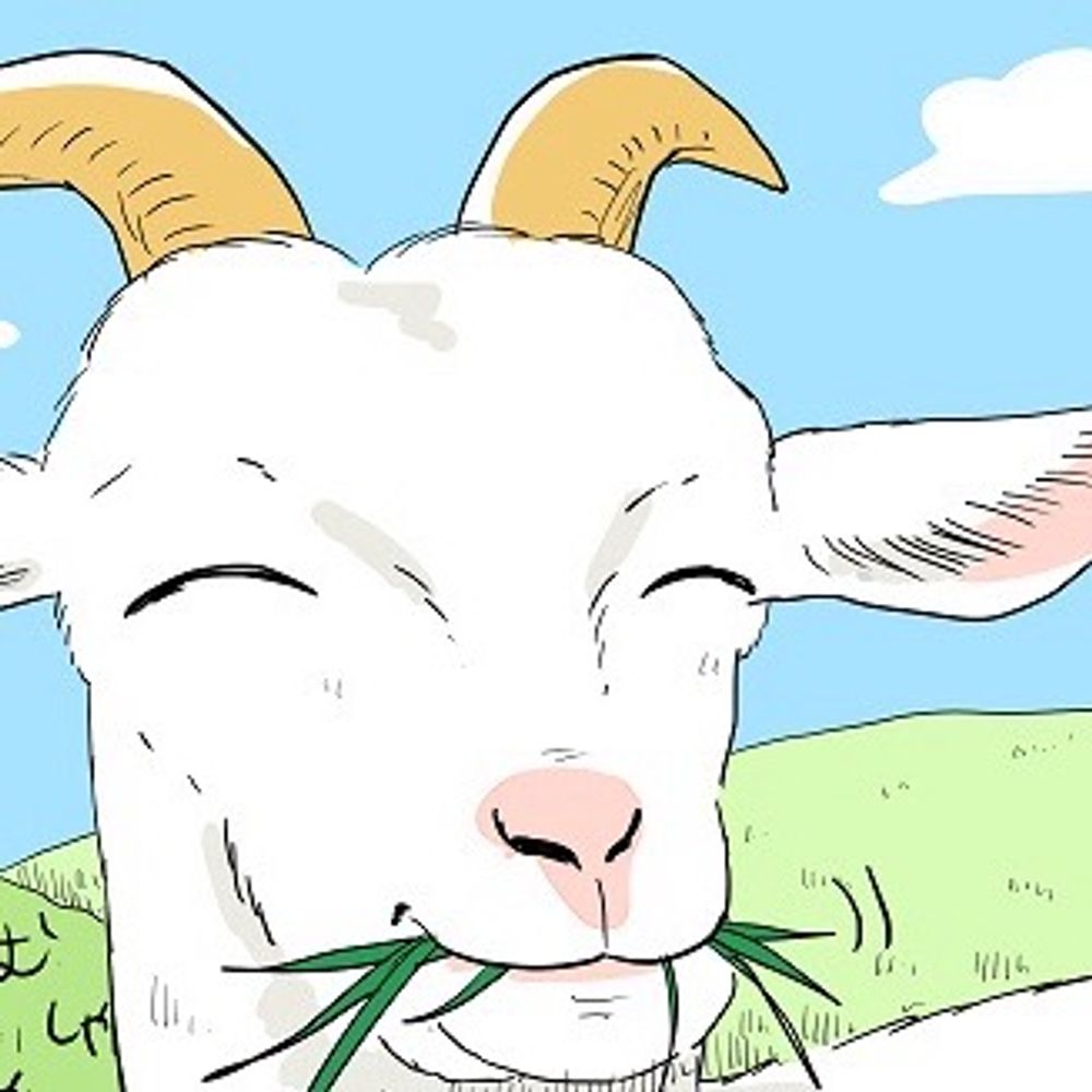 きくち栞