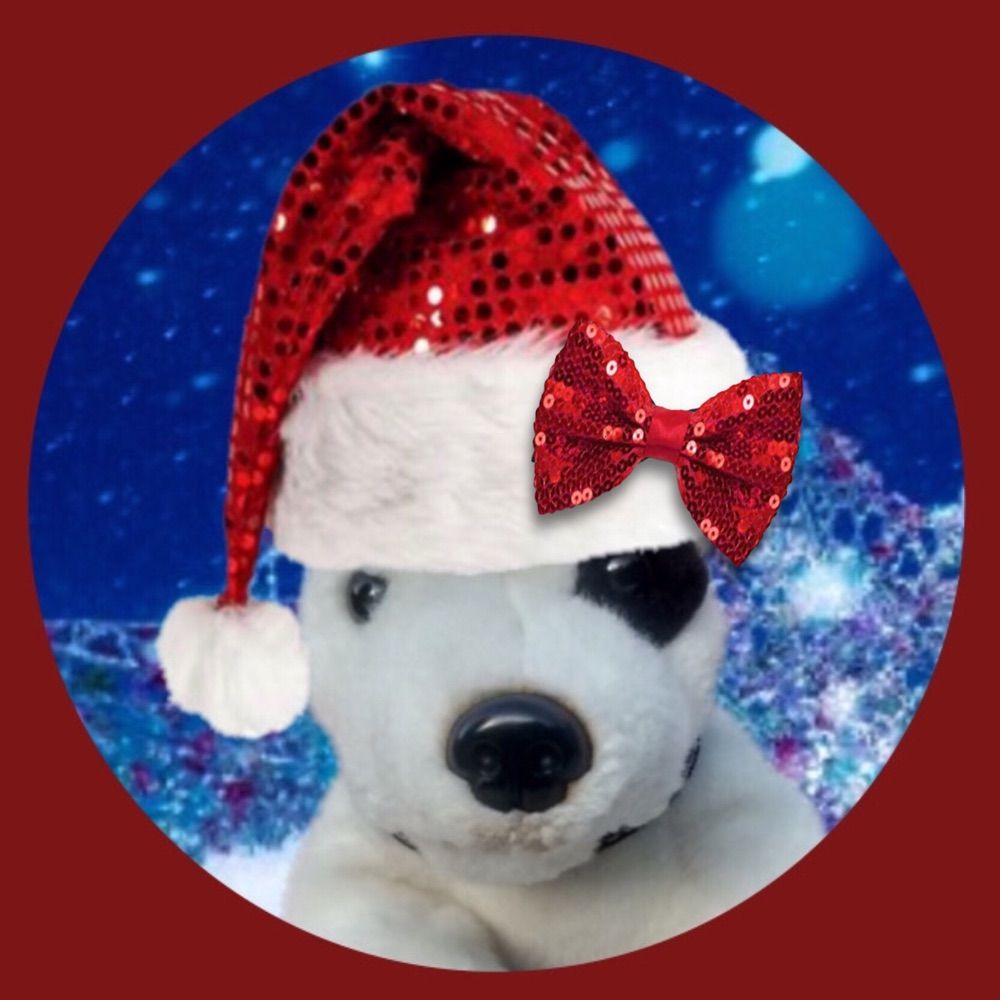 Miss Muddles🐶🎀❤️🎅🎄🎁 **ZSHQ General**