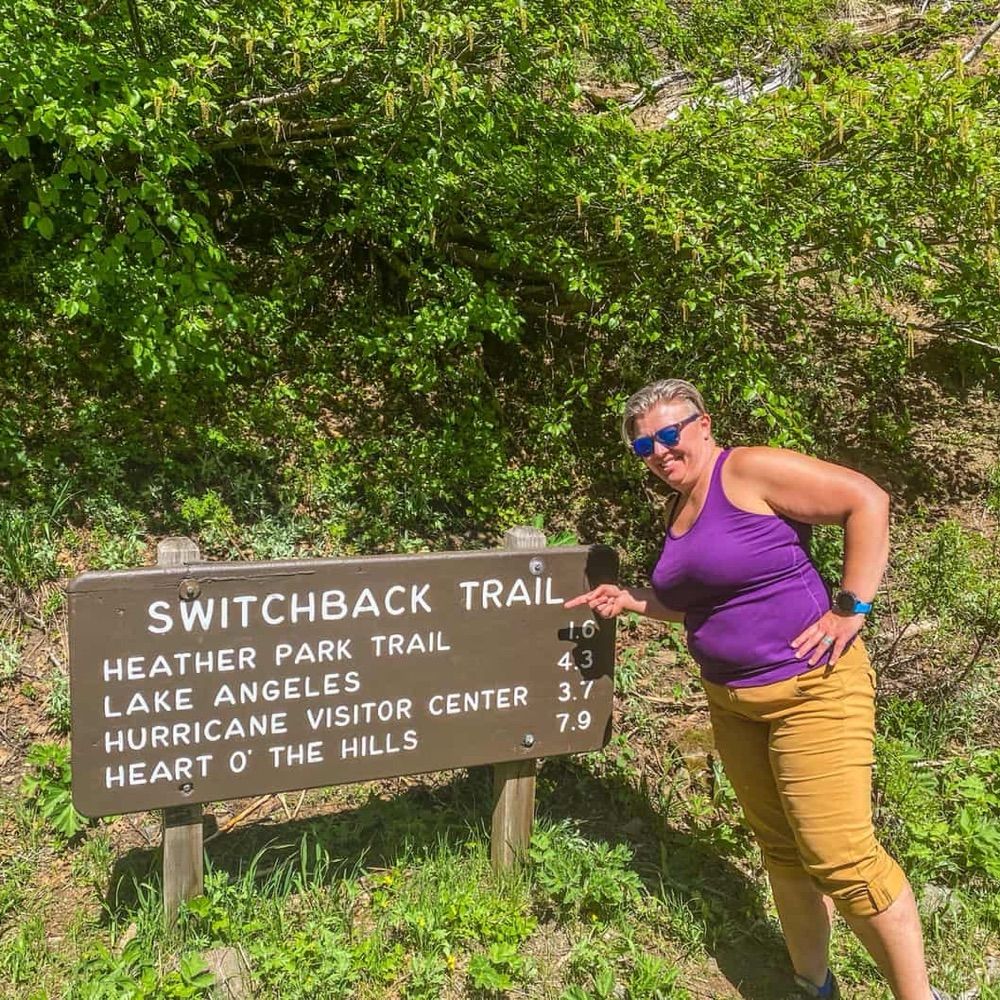Wandering Switchback