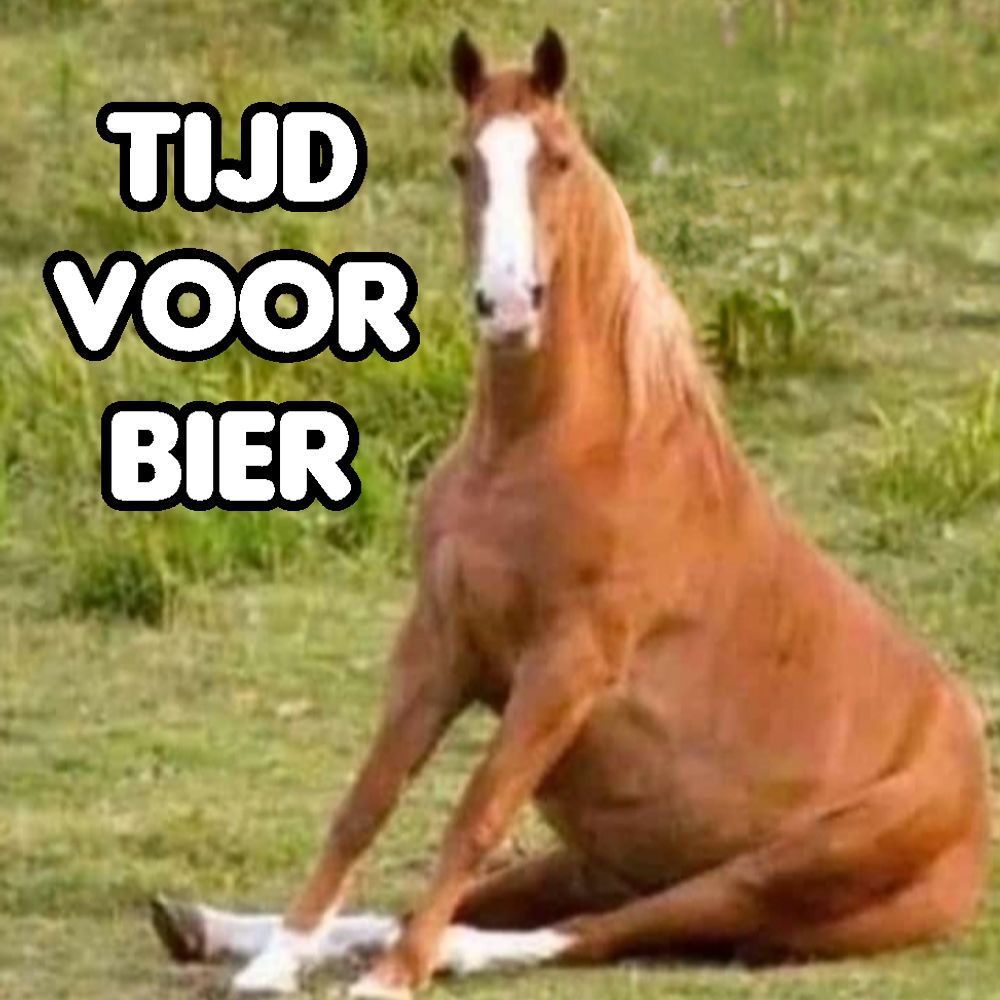 Lam Zwerfpaard