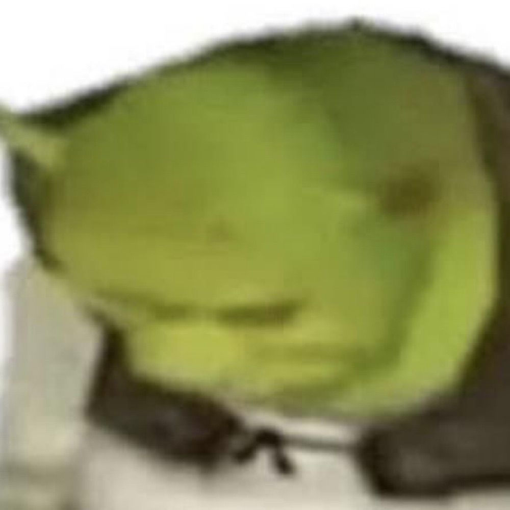 ListerKryten