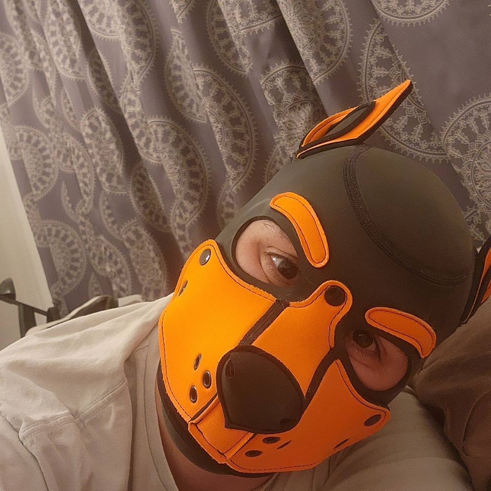 Zack Pup