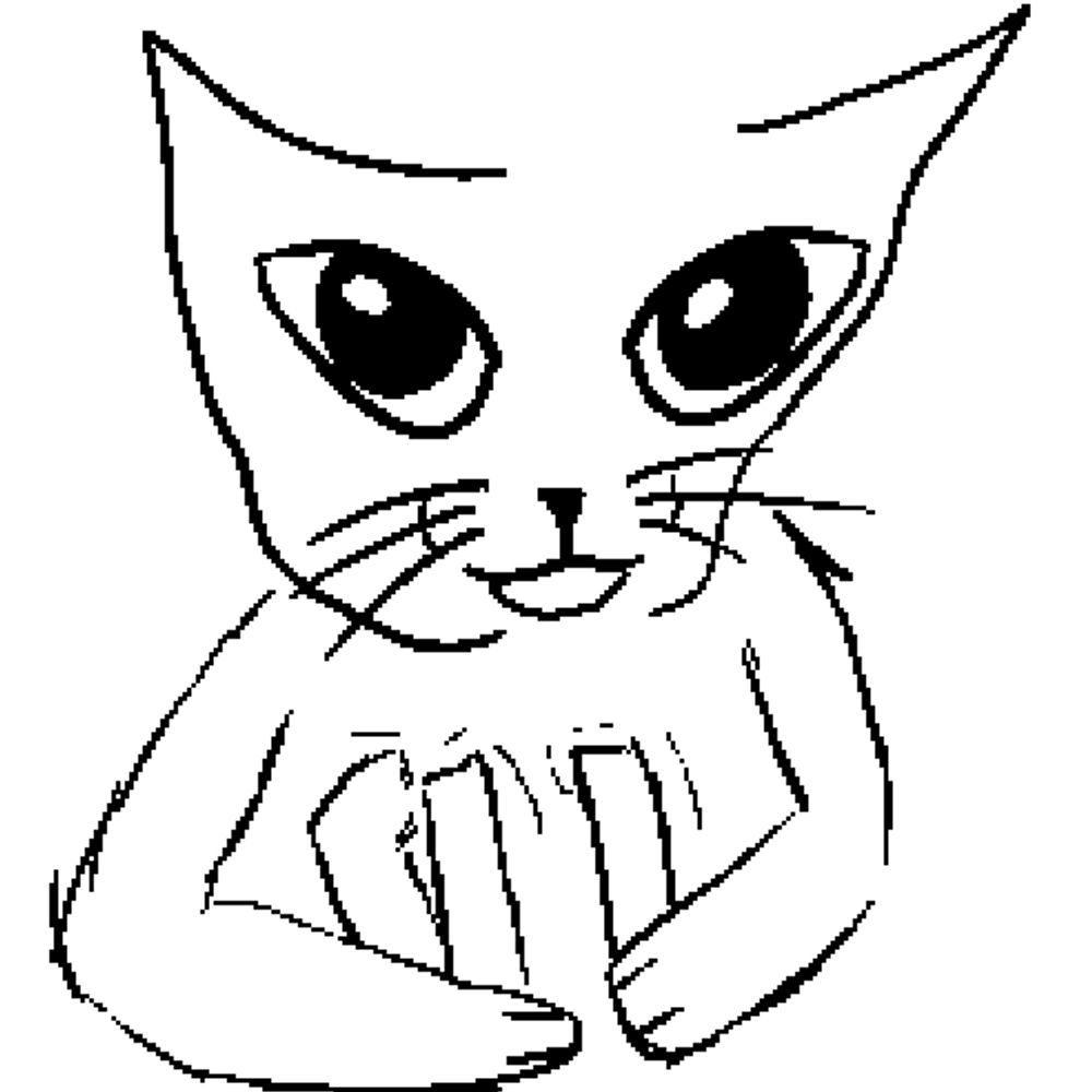 CatBreath