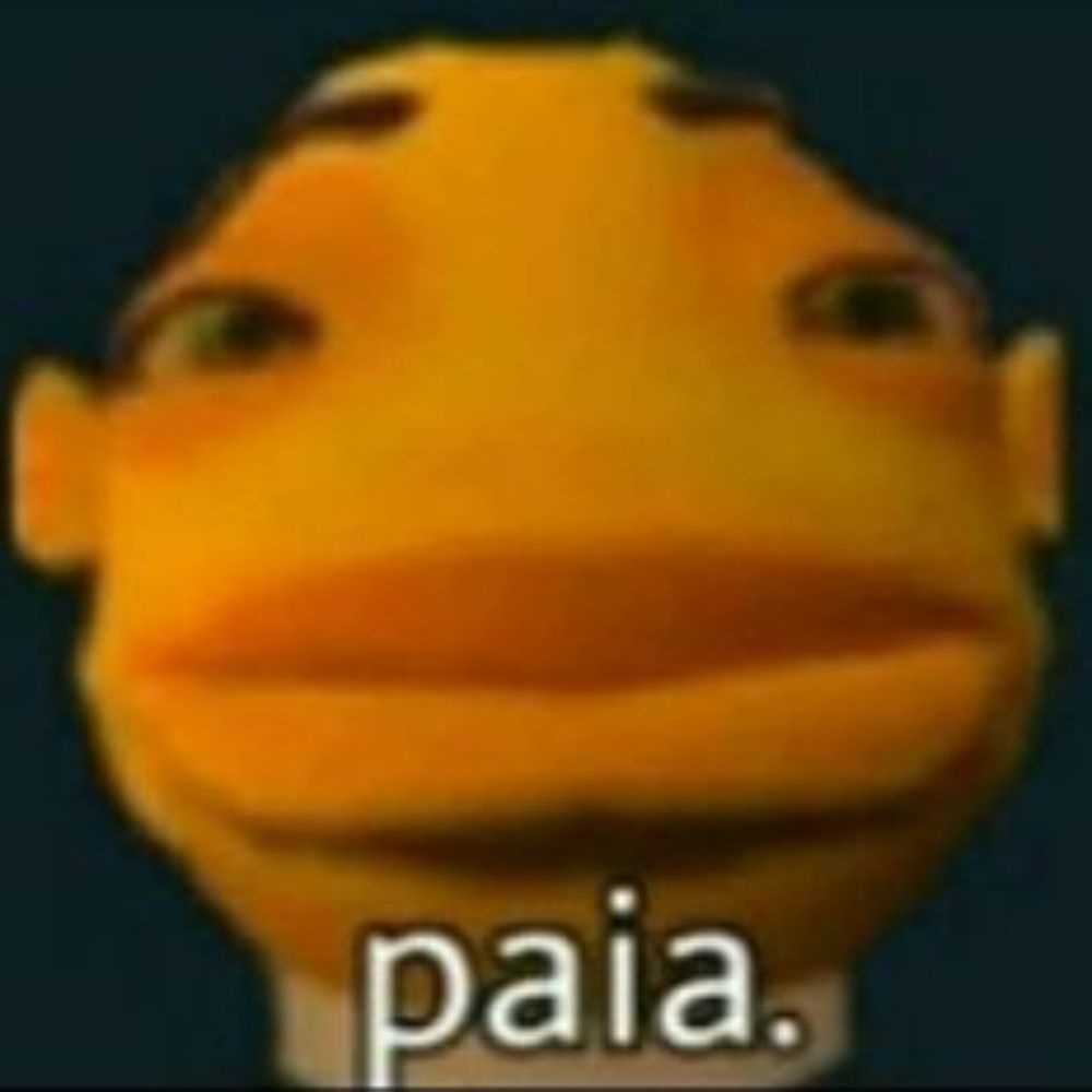 Kallil bom do vôlei 