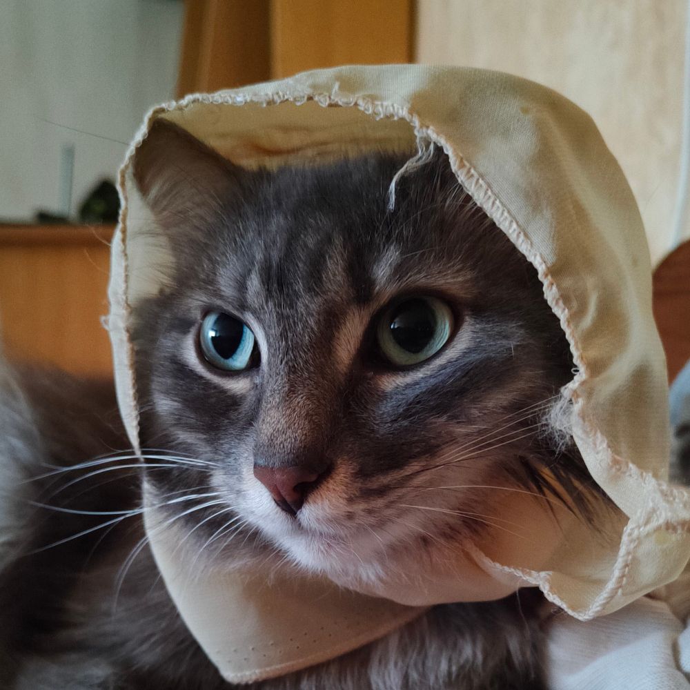 Ну, я снова здесь... До следующей истерики
