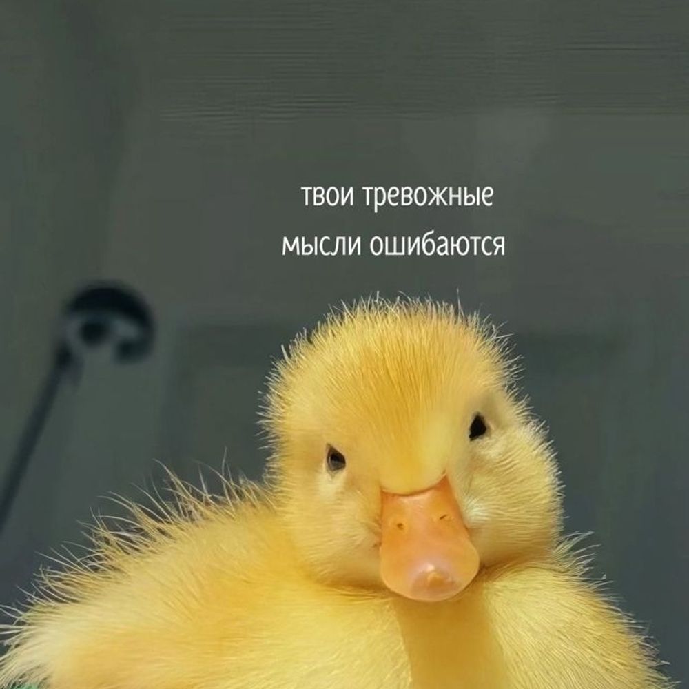 Ну, я снова здесь... До следующей истерики
