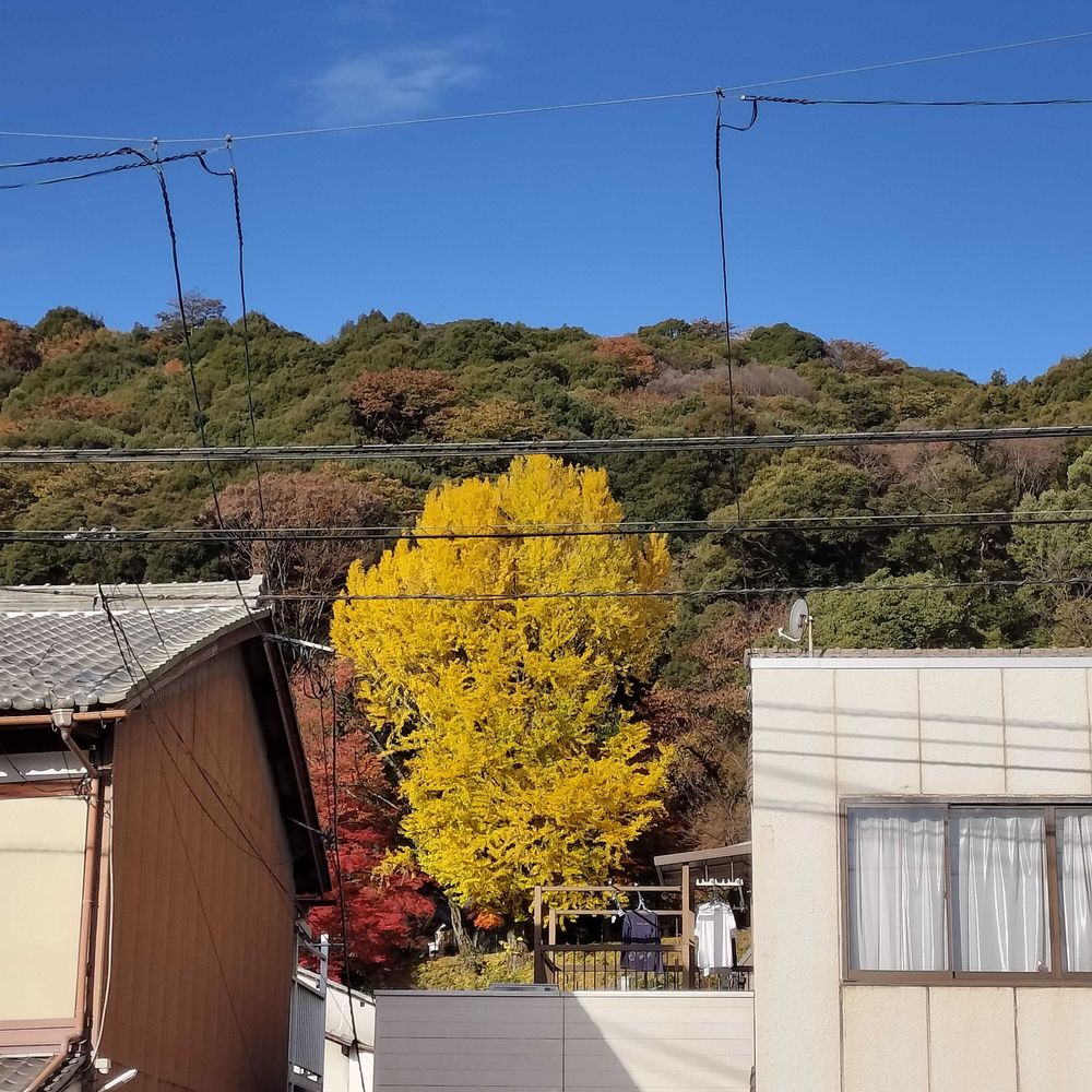 さとる