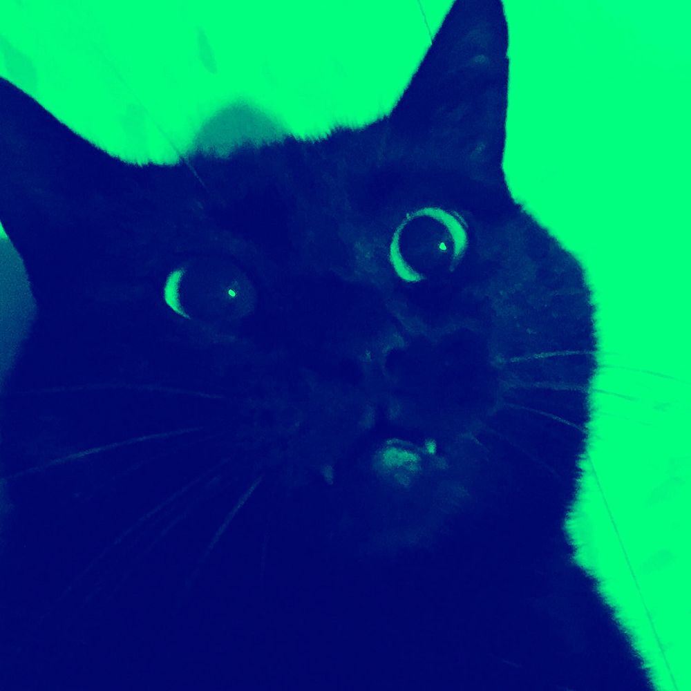 JacobGforce
