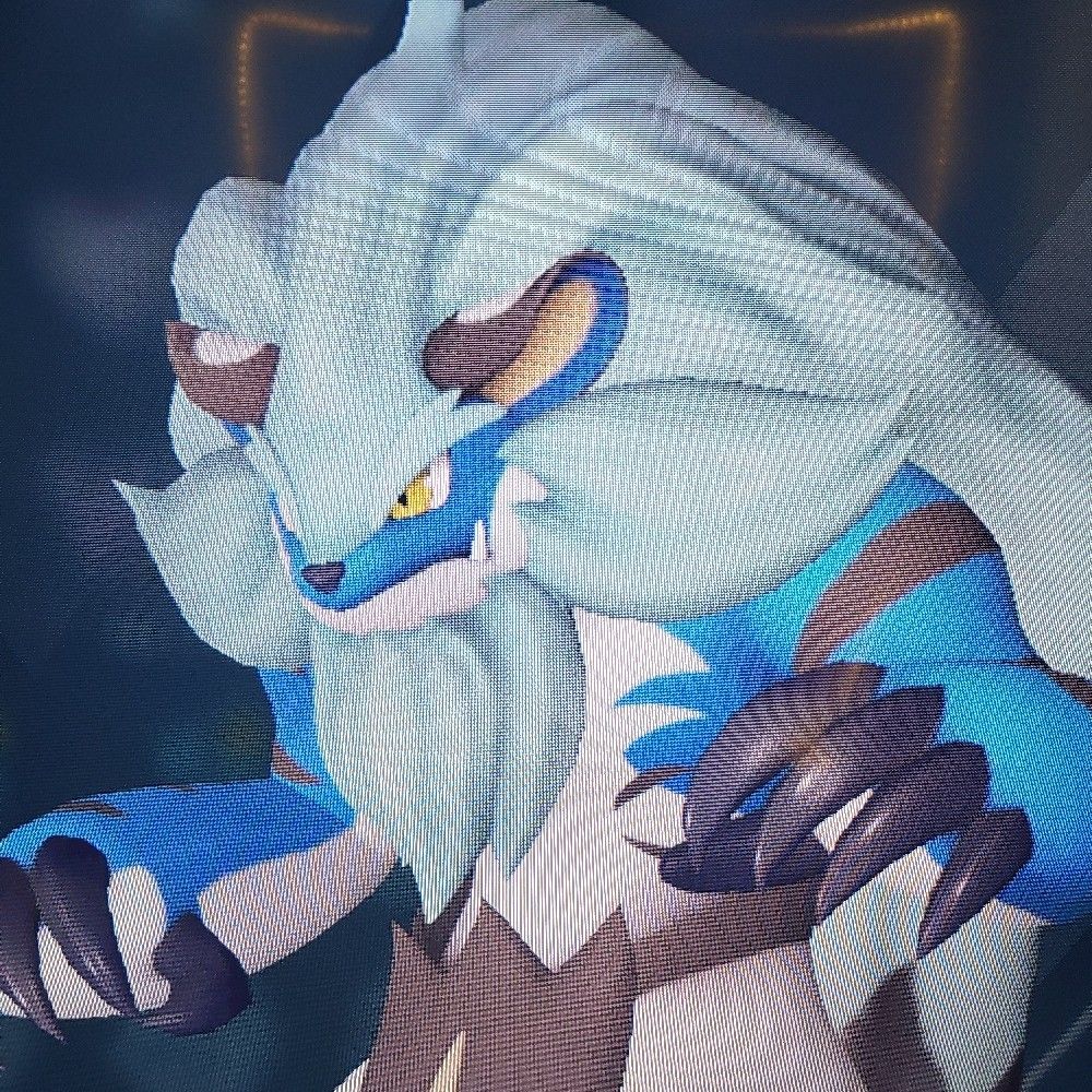 Ty Tigor