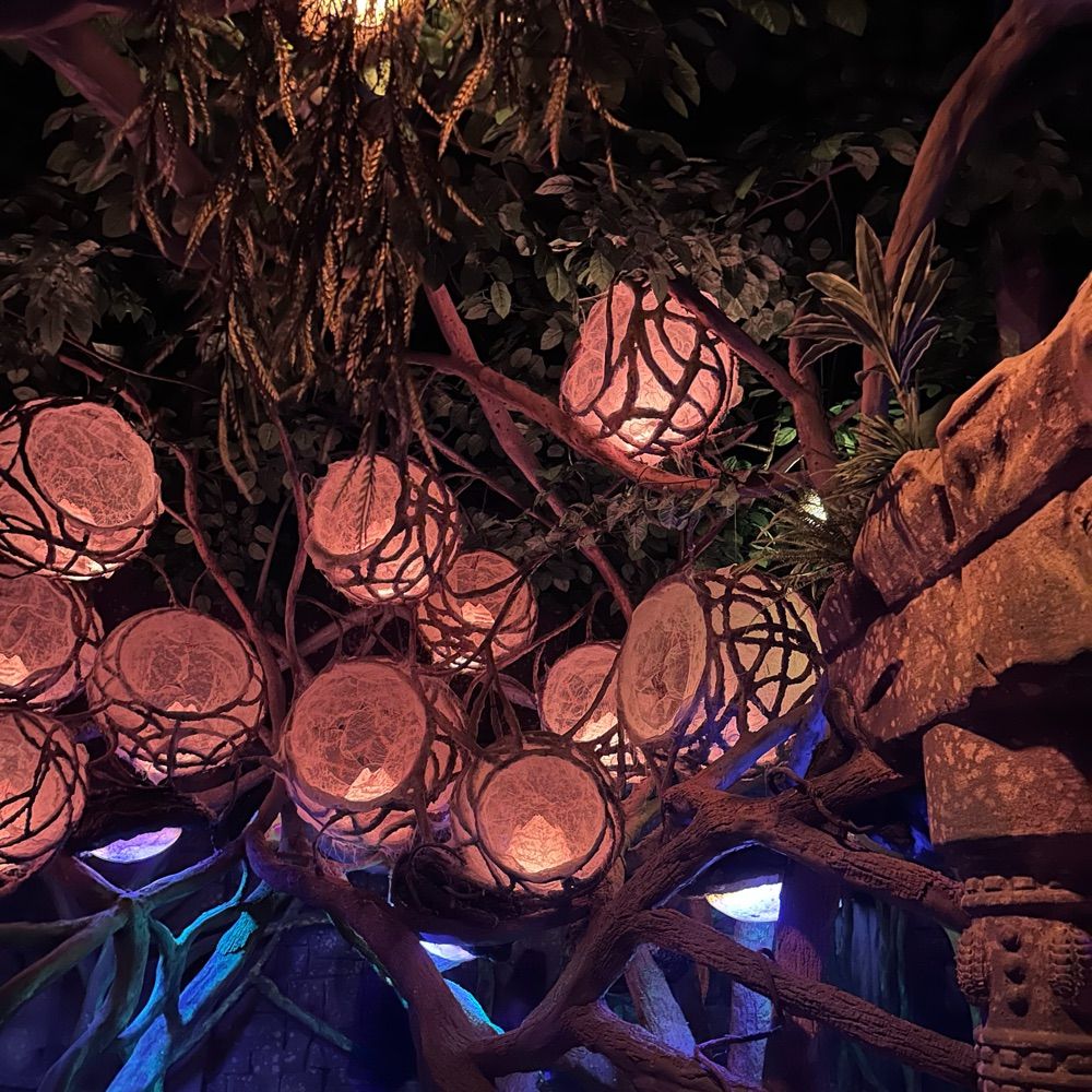 Cherrie tree