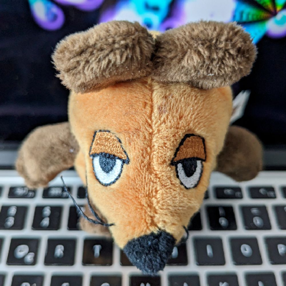 KOKU BUNJI