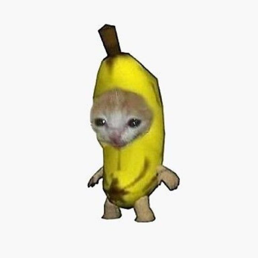 🍙ข้าวเหมียว🐱