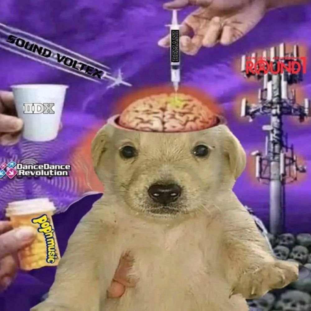 Libtard