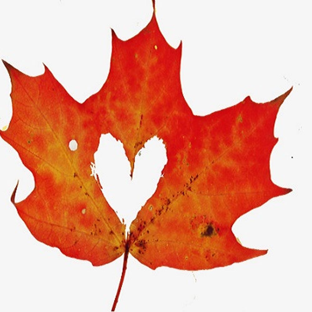 Canadian Ecopsychology Network