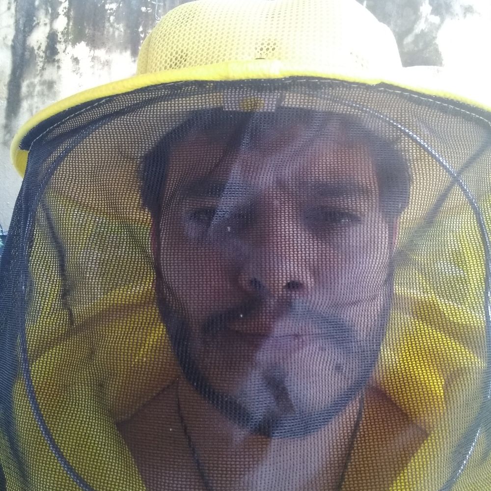 O apicultor 
