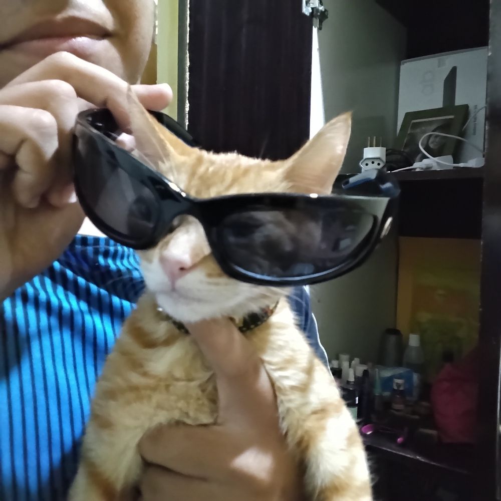 ⭑⭑ iarão ⭑⭑