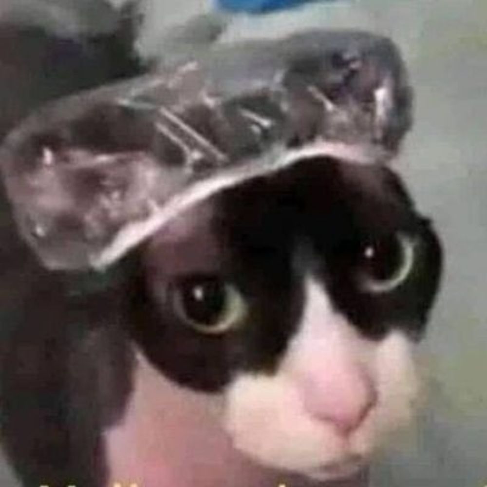 Beatriz 