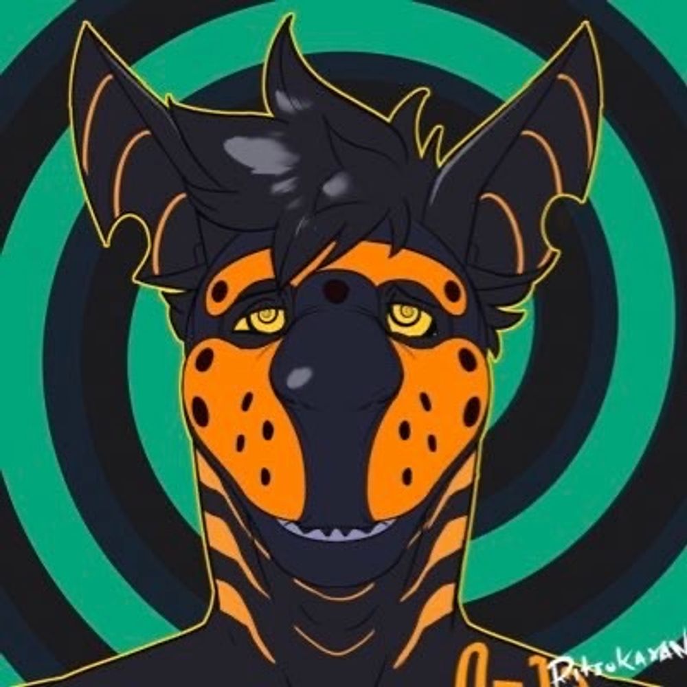 SharkPupZeke