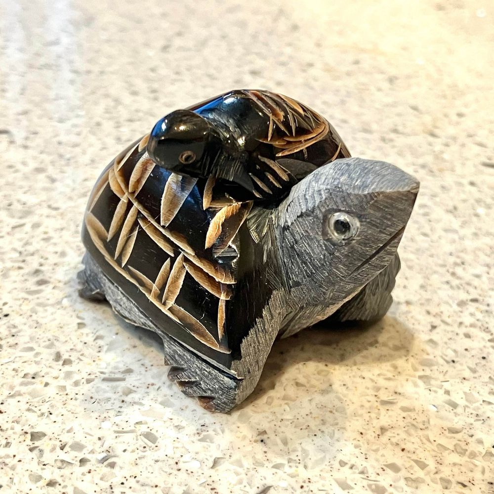 M🐢