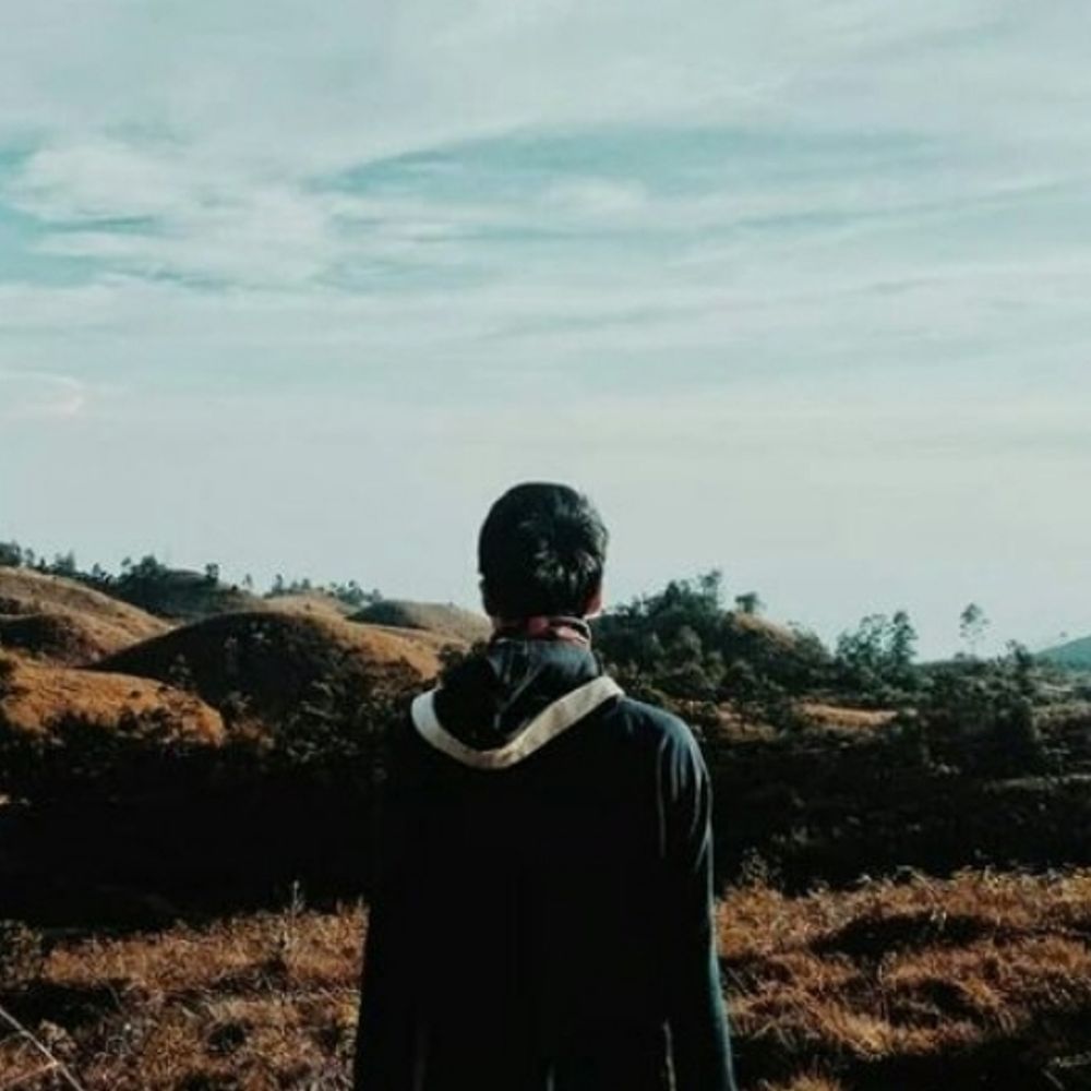 Laut