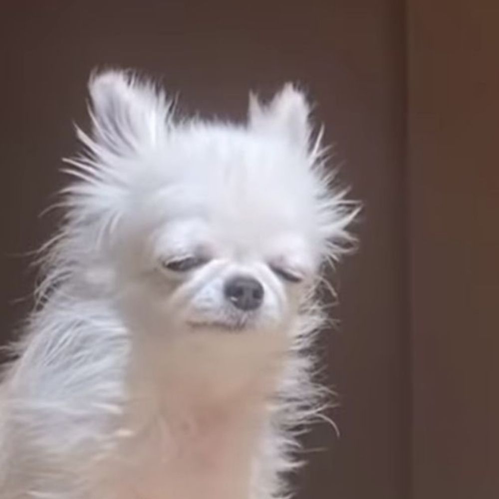 츄빌이