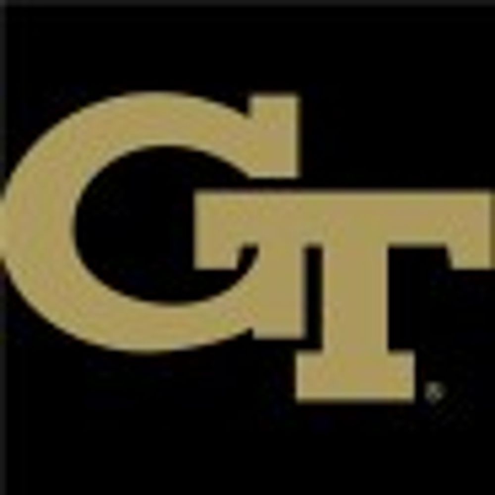 Georgia Tech Global Development