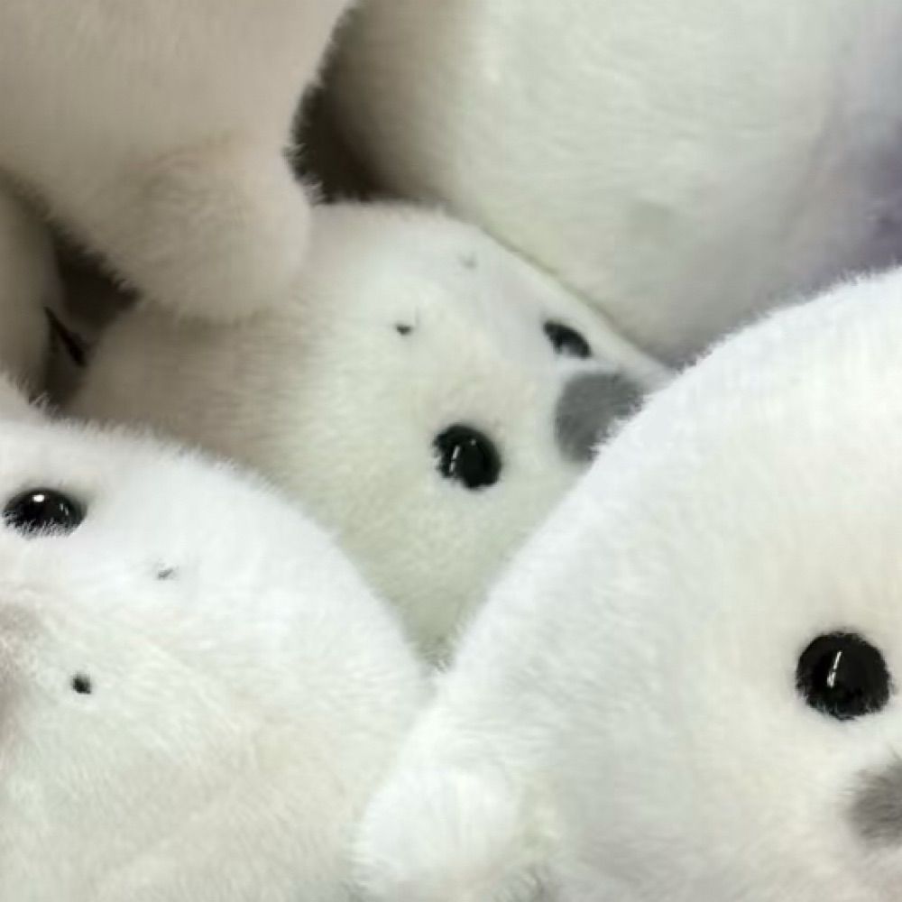 :3
