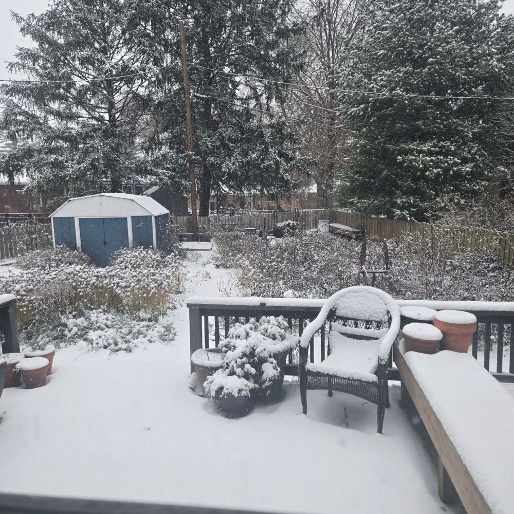 STLWX