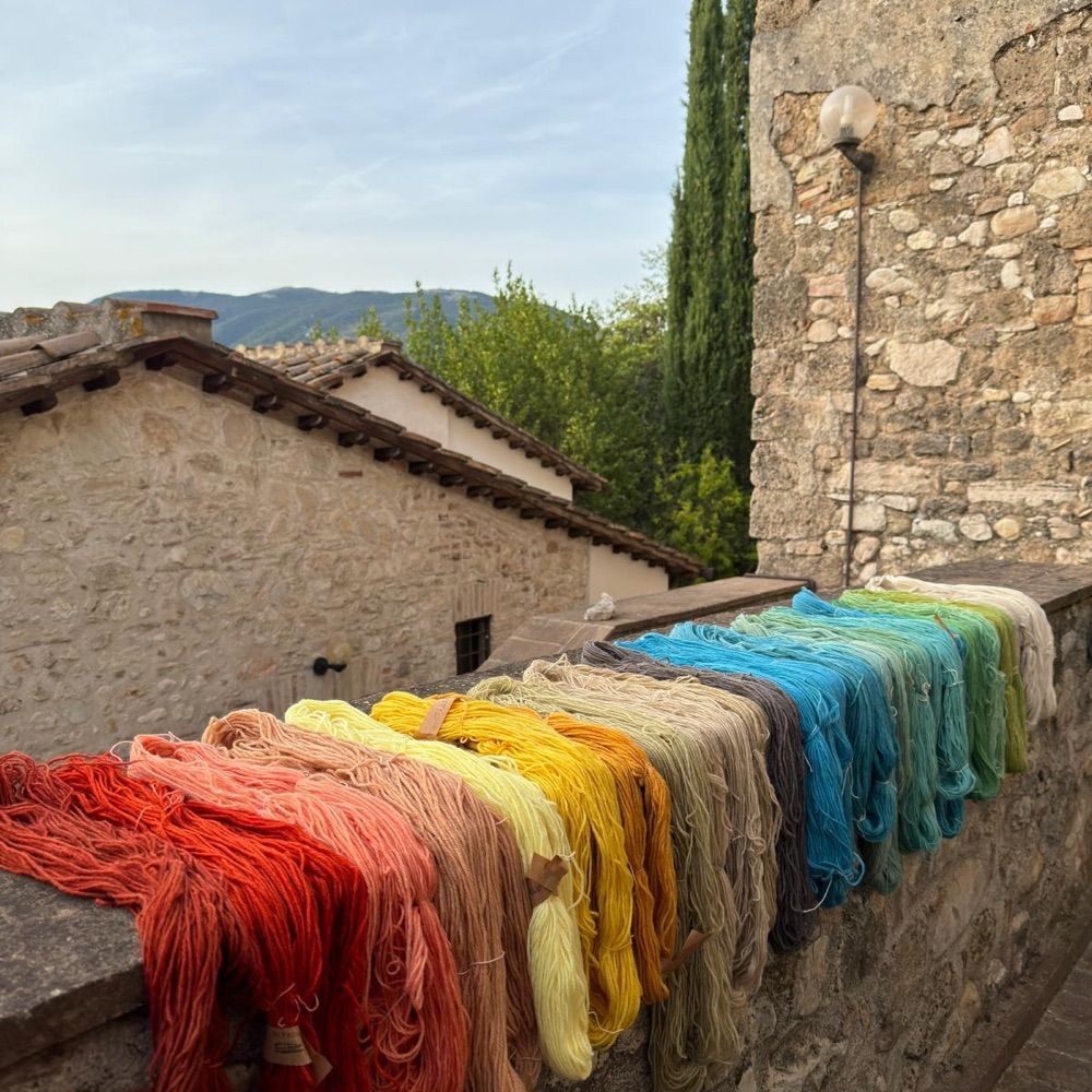 La Romita School