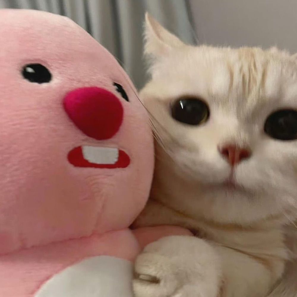 แห๋มแห๋ม