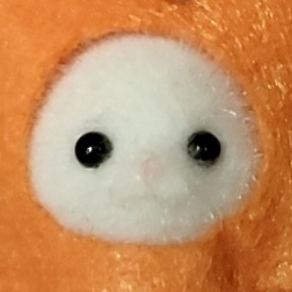 ほしの