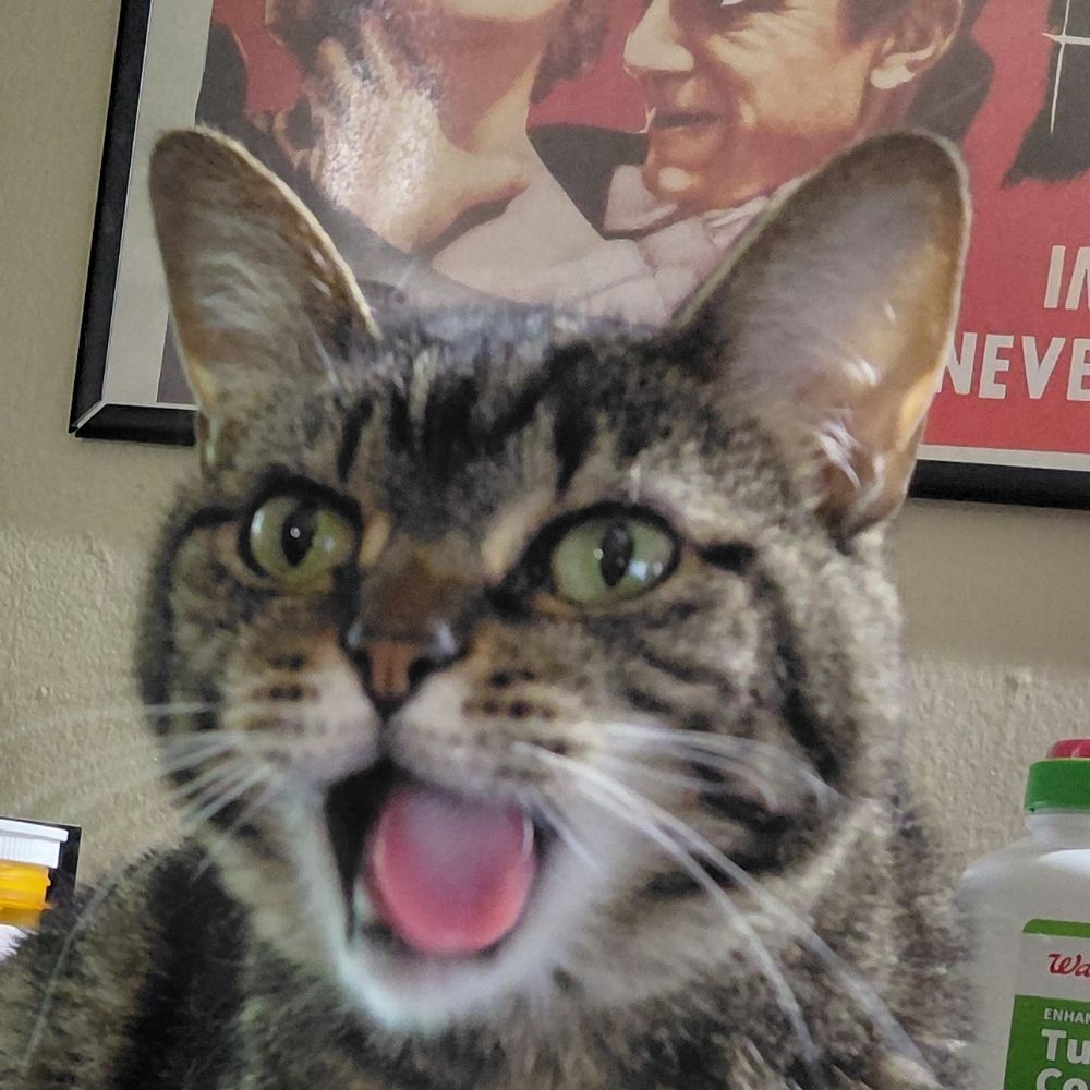 microwavedgw.bsky.social profile picture