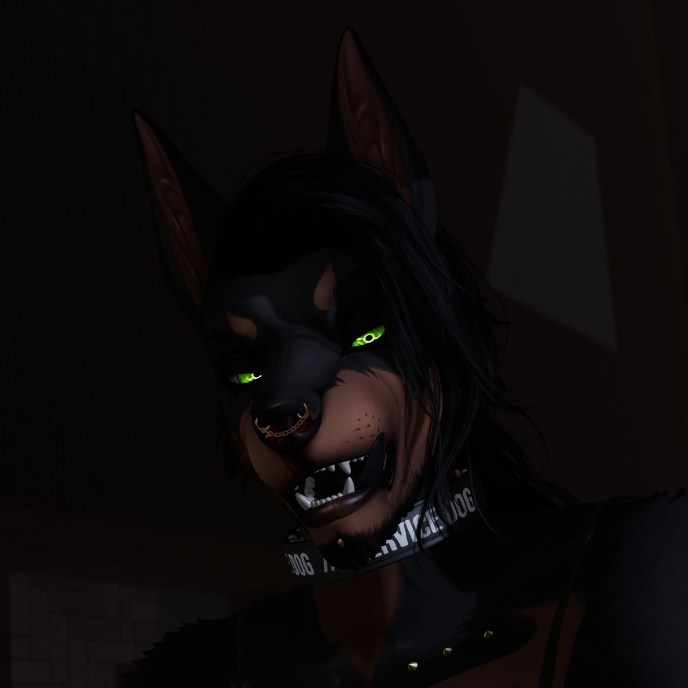 Profile avatar