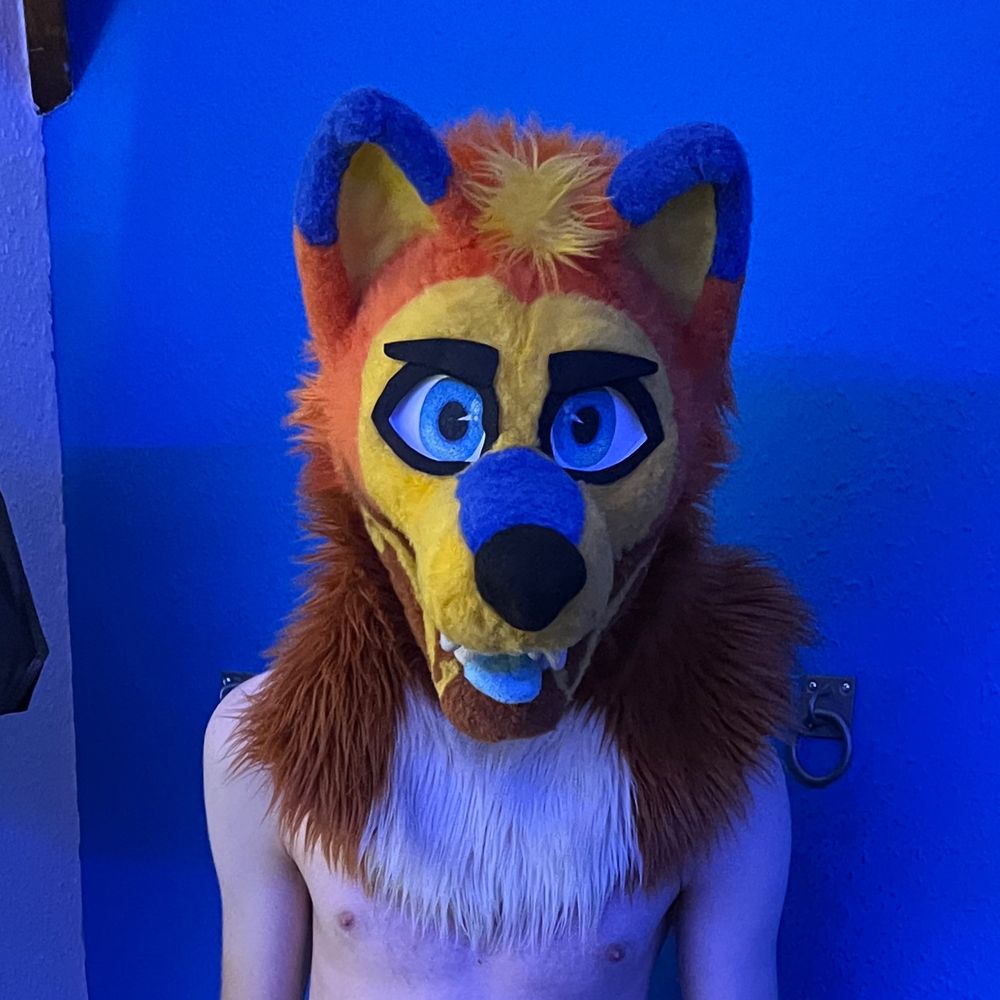FuskyOnTheProwl