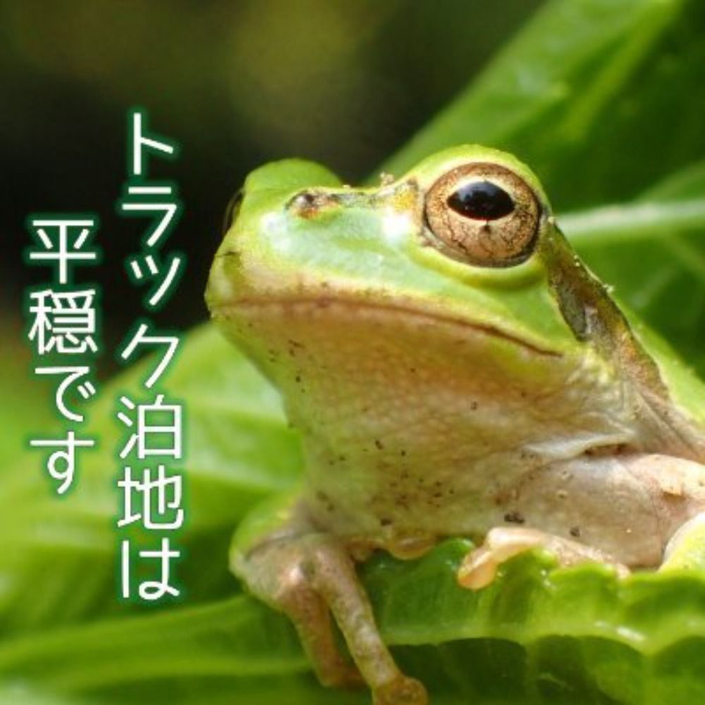 かみろ