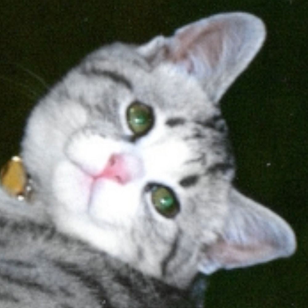 ツナ