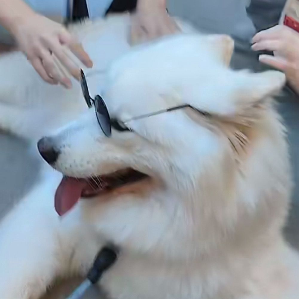 焦糖拿鐵